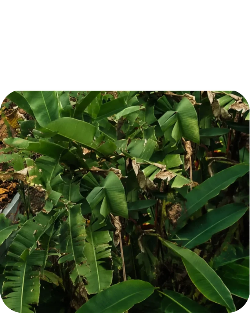About section image 2