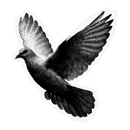 A bird Flying